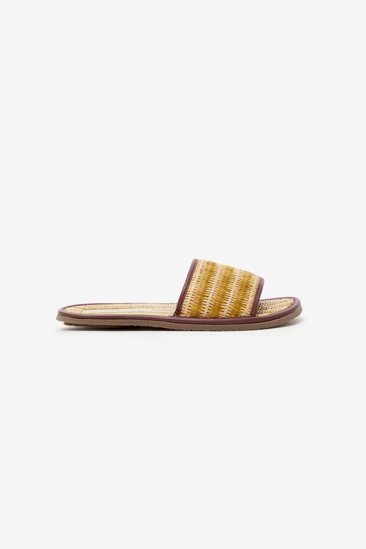 DIAPOSITIVE ADA OCRE