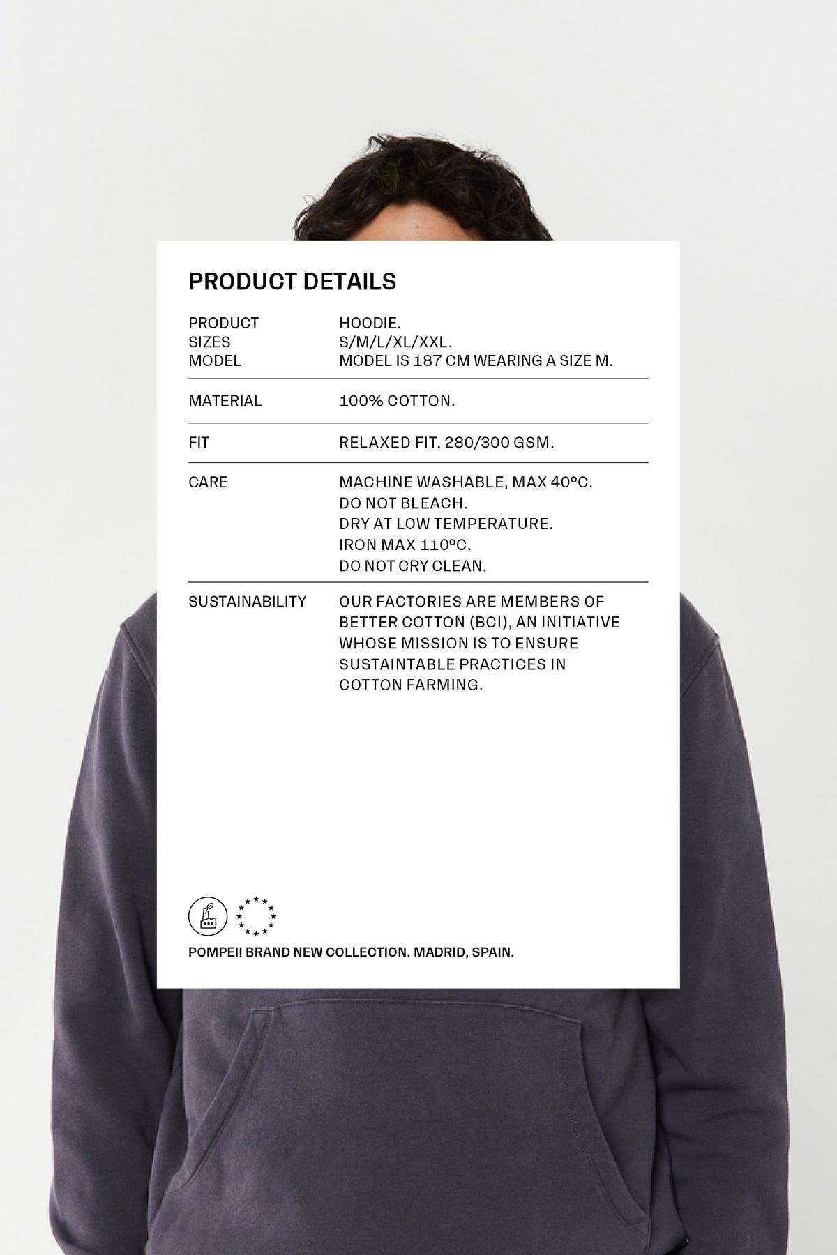 RAISIN REGULAR HOODIE