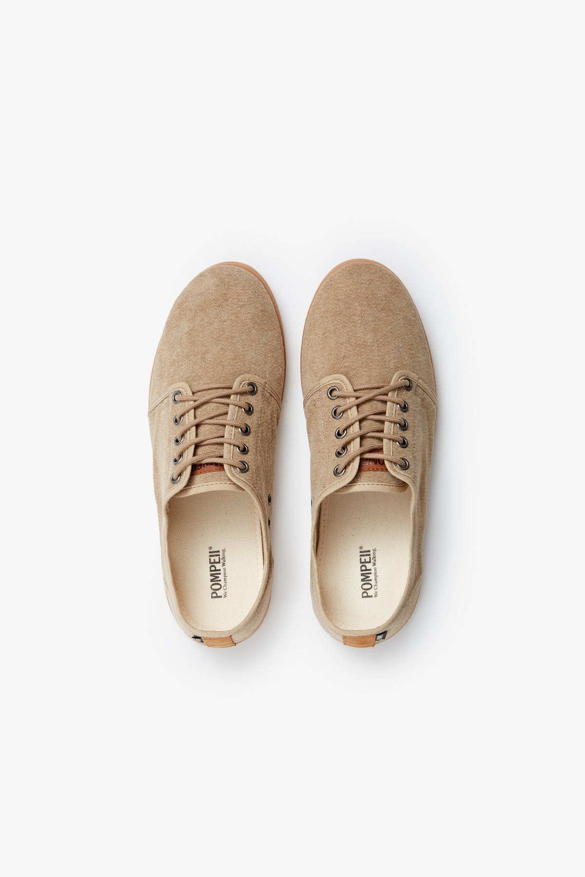 HIGBY SUN CANVAS TAN SIENA