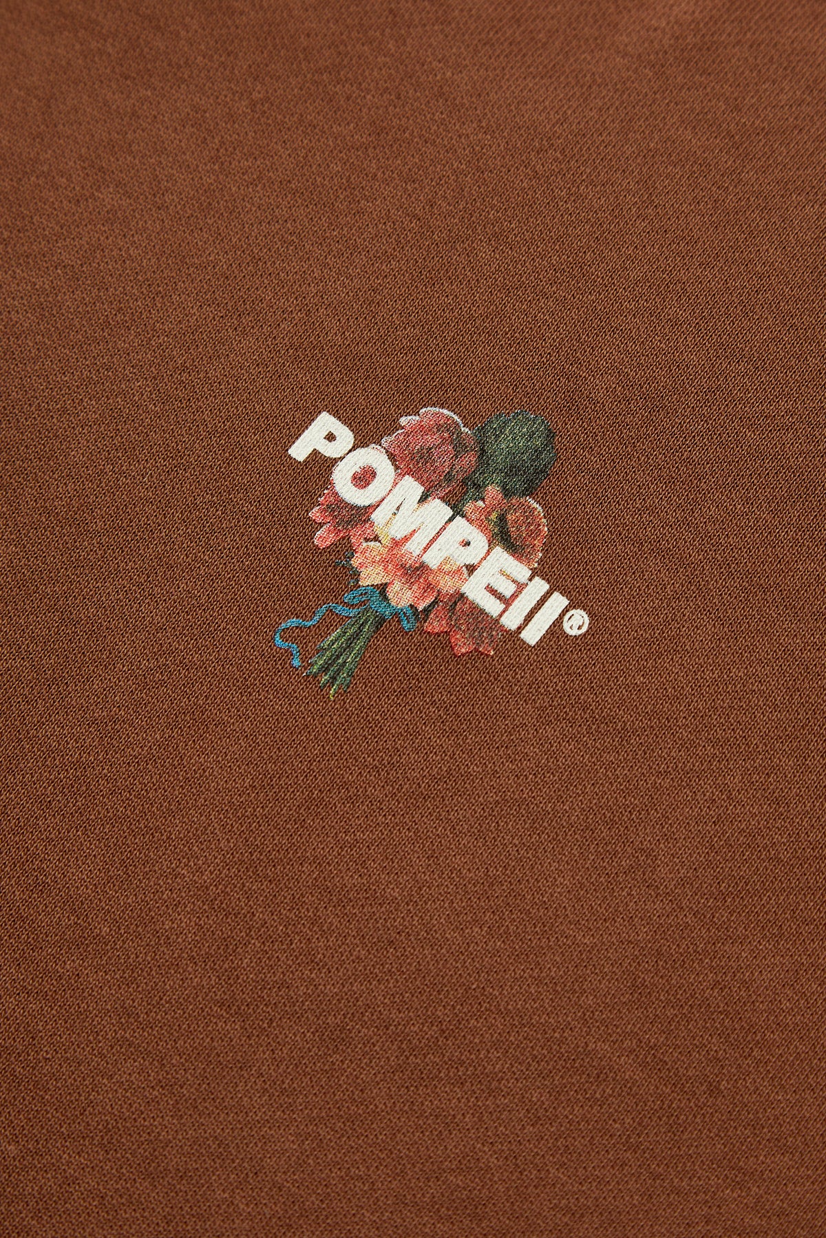 IMPOSTOR SYNDROME CHOCOLATE HOODIE