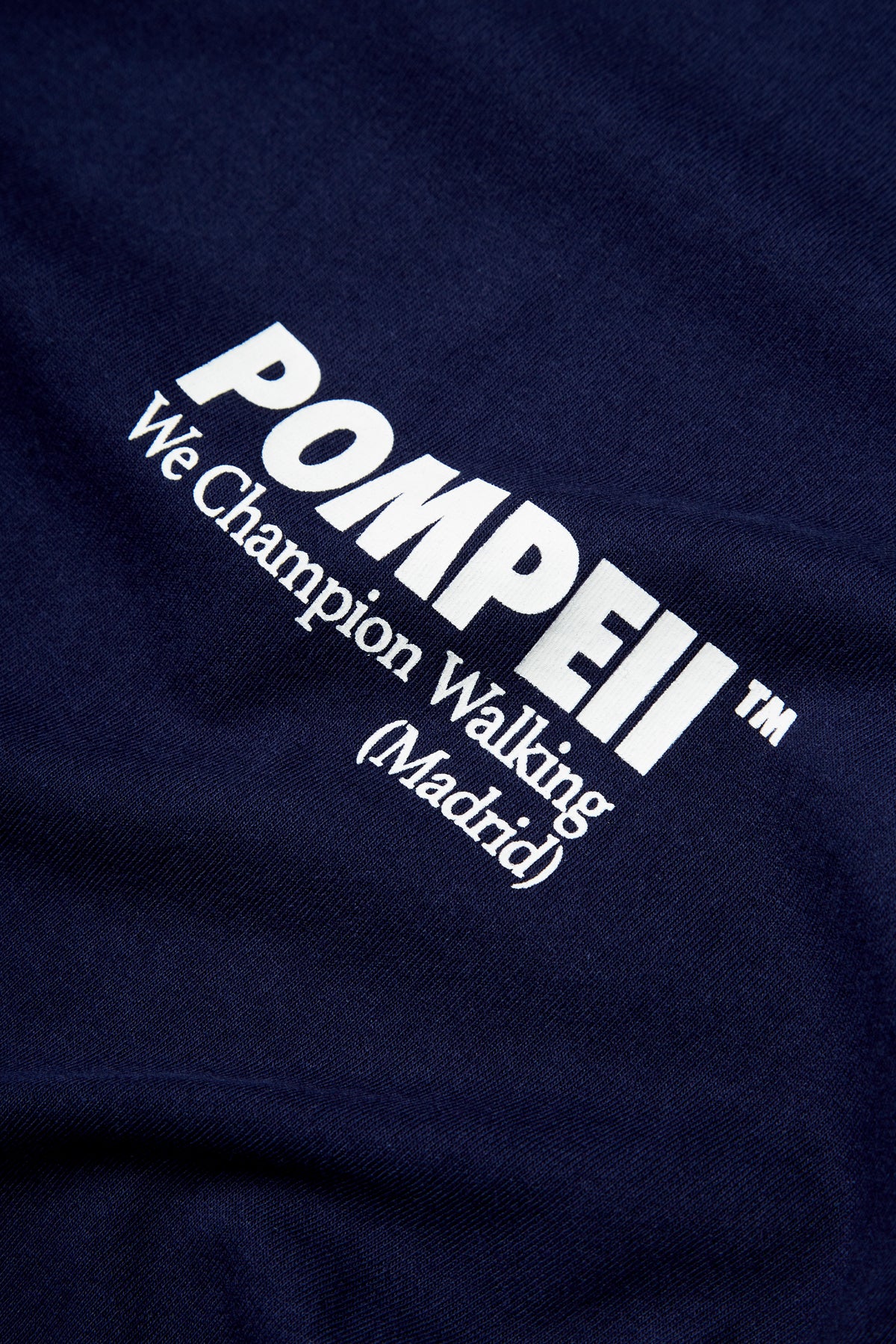 POMPEII NAVY BOXY GRAPHIC TEE