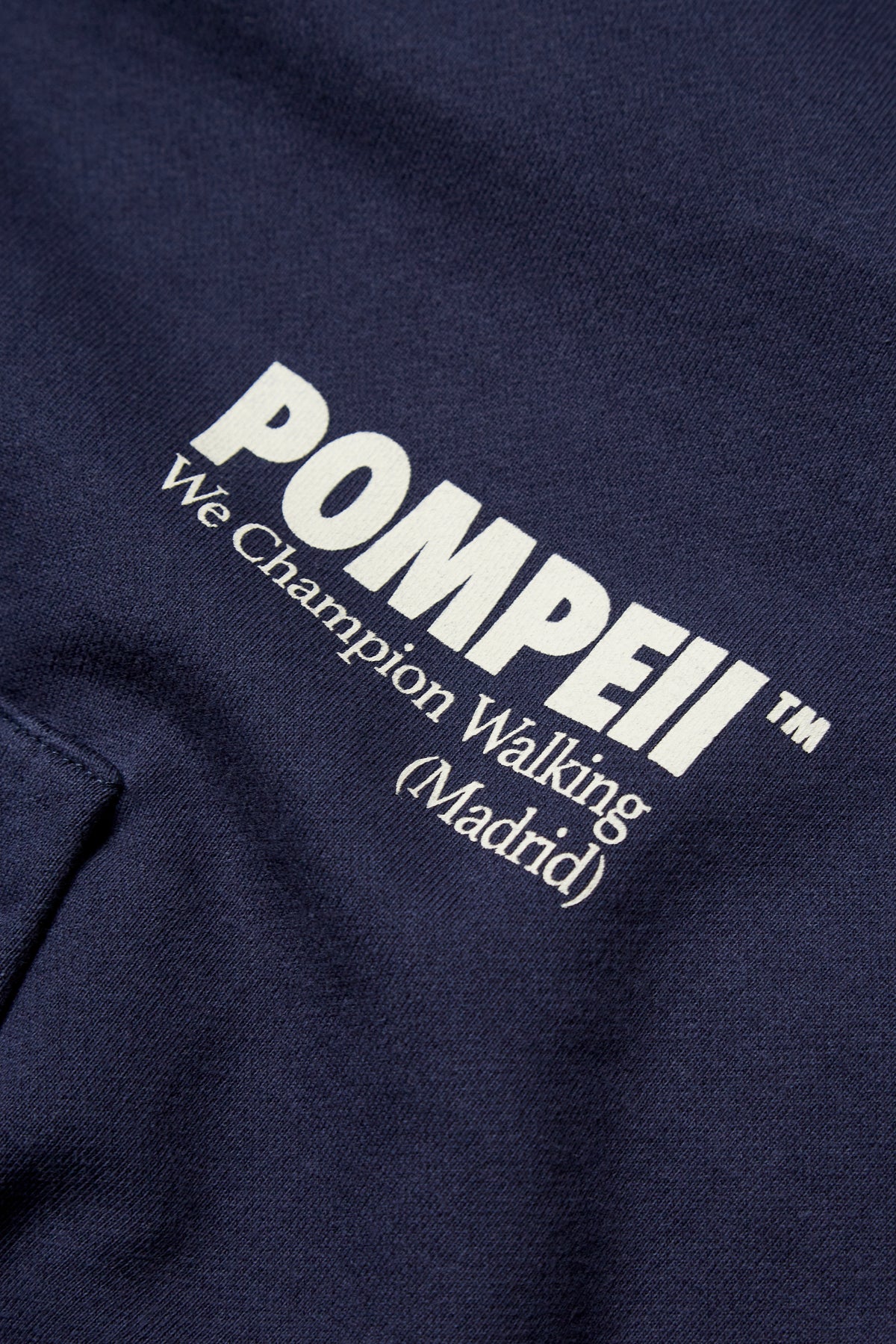 POMPEII NAVY REGULAR HOODIE