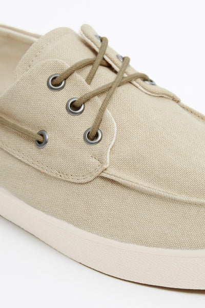 PETRA CANVAS MOSS