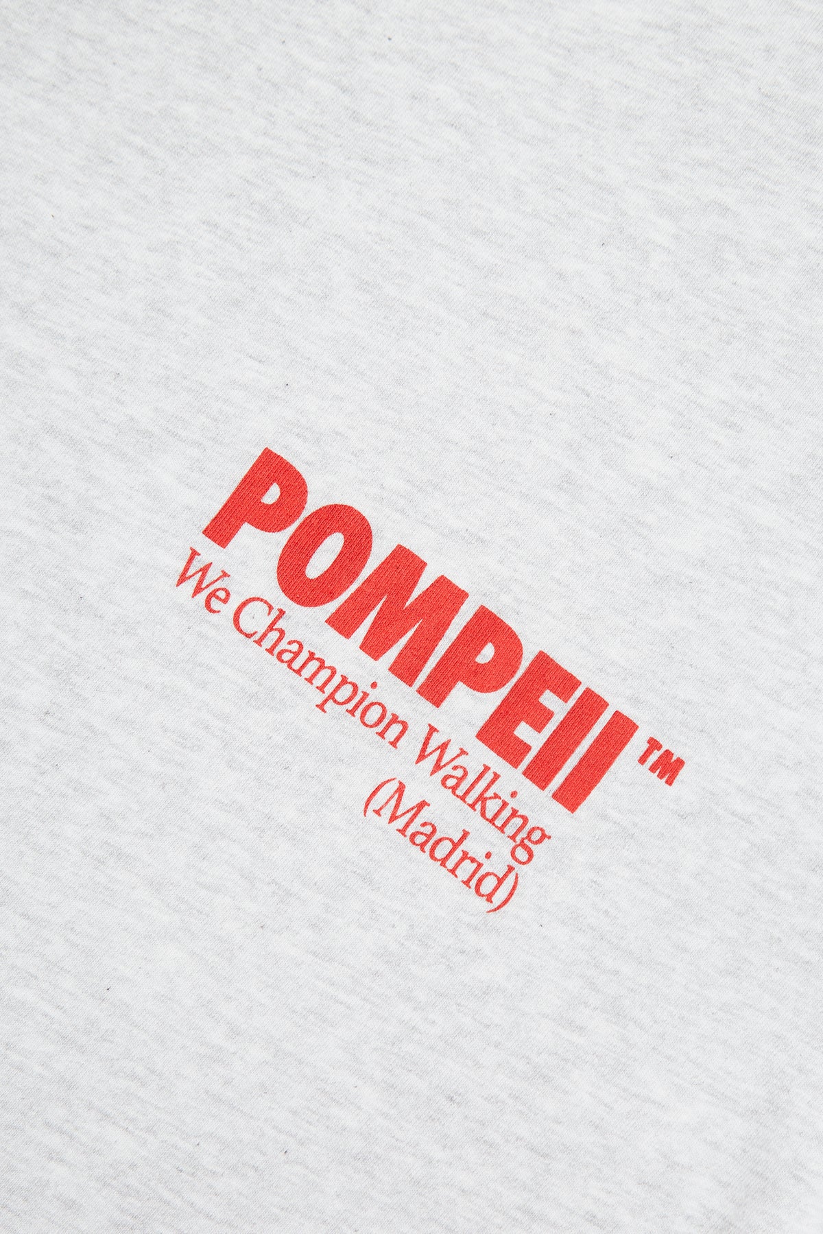 POMPEII CLASSIC GREY BOXY TEE