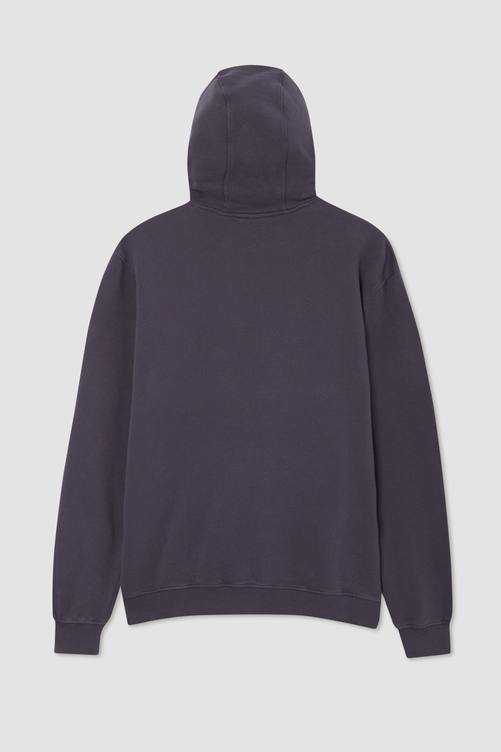 RAISIN REGULAR HOODIE