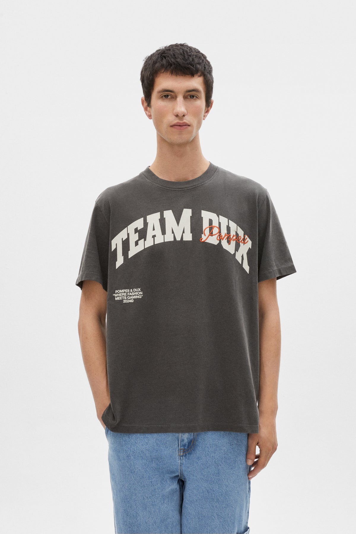 TEAM DUX WASHED GREY TEE