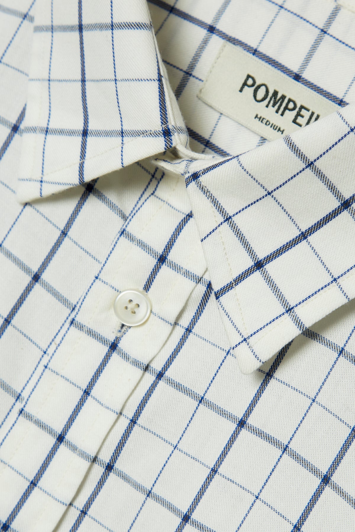 THE BLUE CHECK COTTON SHIRT