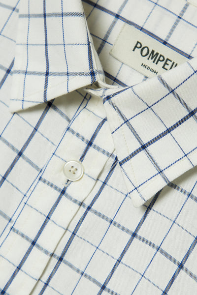 THE BLUE CHECK COTTON SHIRT