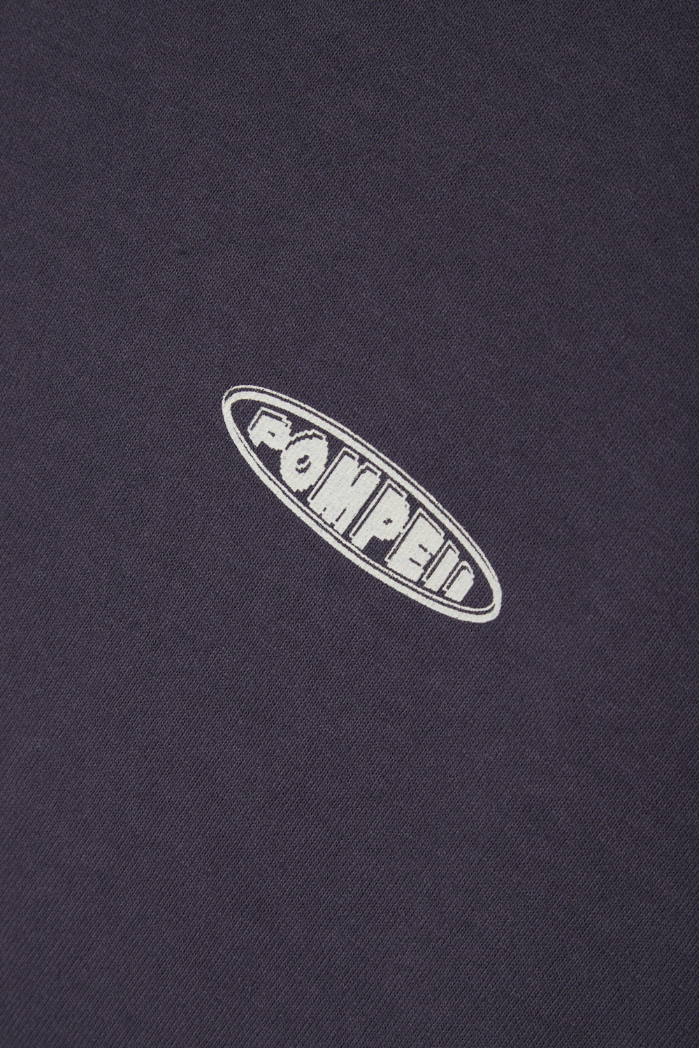 SENSE OF BELONGING RAISIN TEE