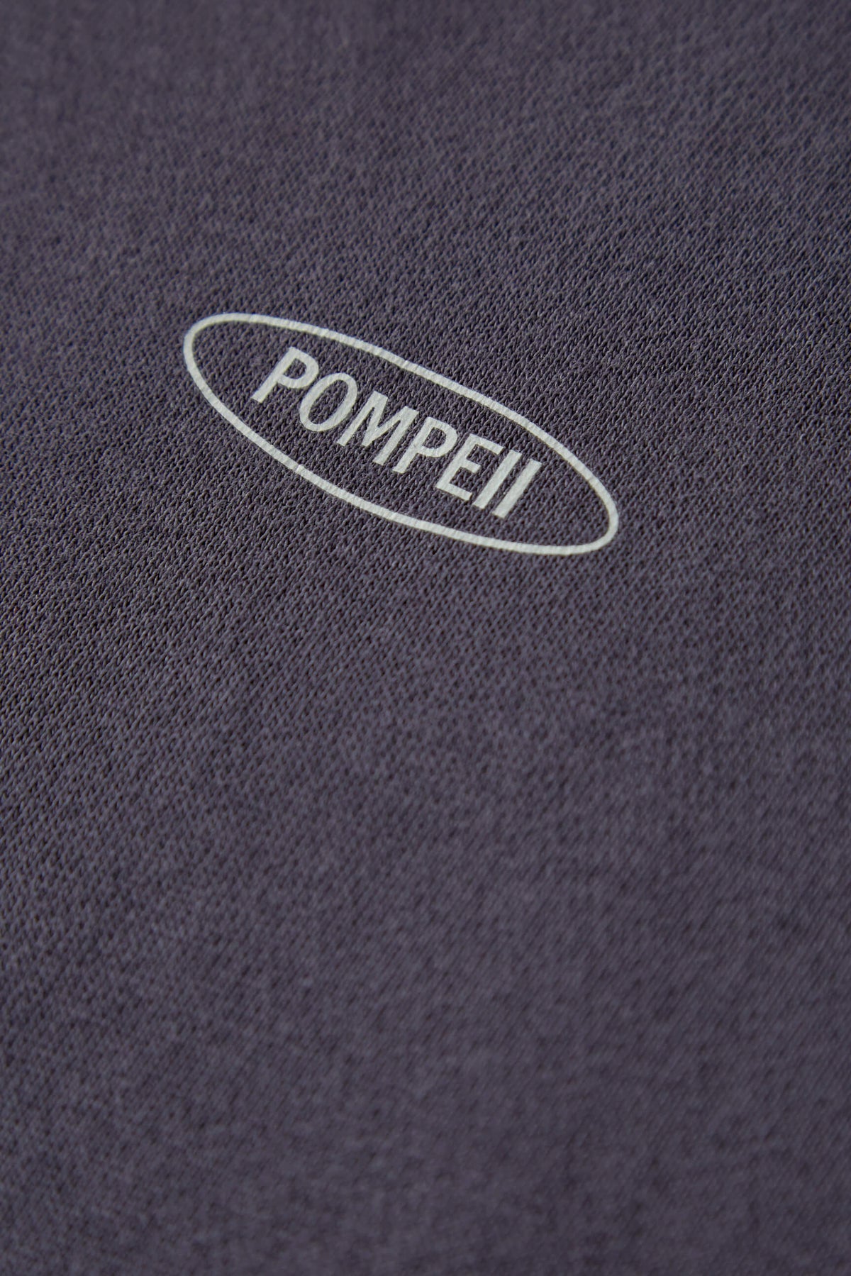 RAISIN REGULAR HOODIE