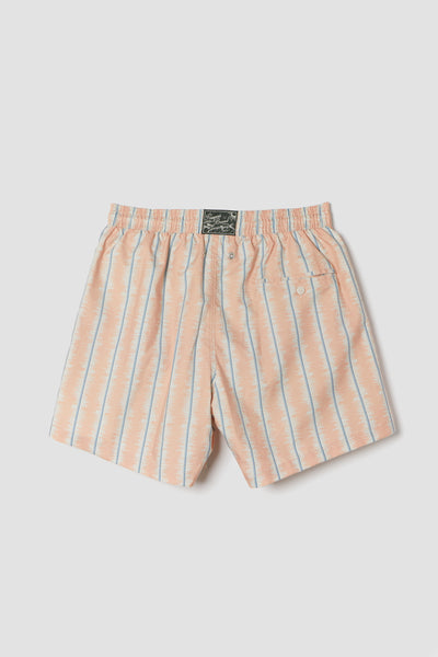 THE BLURRED STRIPE SWIMWEAR